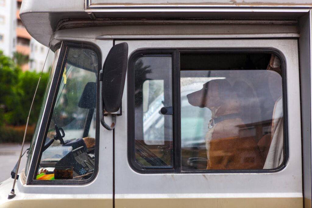 A dog sitting inside a van's passenger seat with a view through the window.
